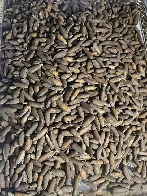 Pine Nuts (Afghani Jolghoza) High Quality - 500g, 1KG