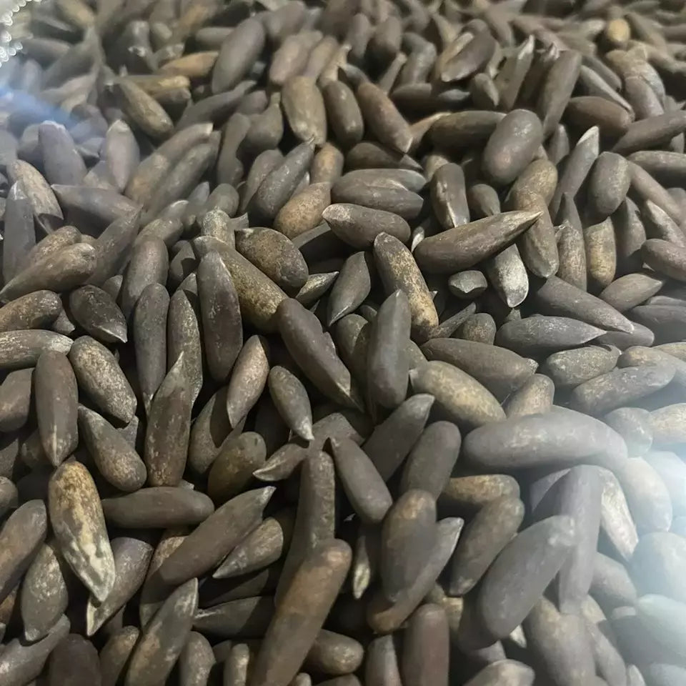 Pine Nuts (Afghani Jolghoza) High Quality - 500g, 1KG