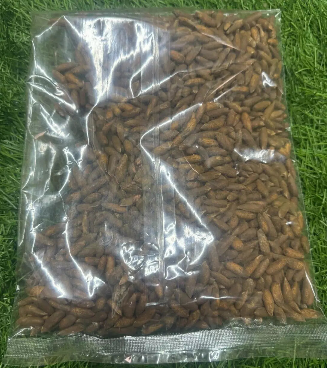 Pine Nuts (Afghani Jolghoza) High Quality - 500g, 1KG
