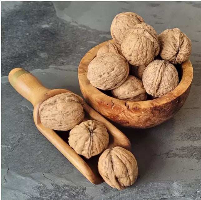 Premium Whole Walnuts in their Shell (Raw Nuts) 1 kg