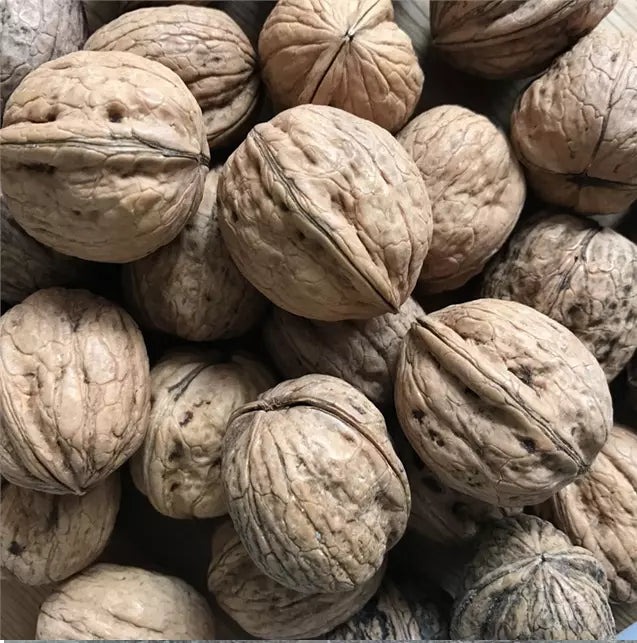 Premium Whole Walnuts in their Shell (Raw Nuts) 1 kg