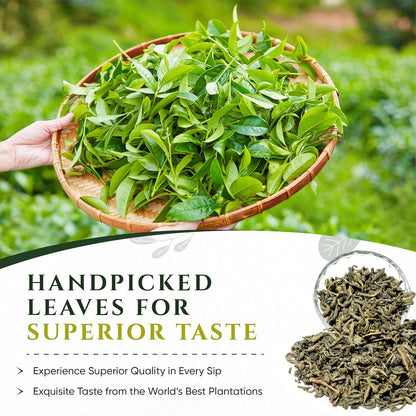 Green Tea | Premium Quality | Loose Leaf | 500 gram | 100% Natural
