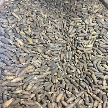 Pine Nuts (Afghani Jolghoza) High Quality - 500g, 1KG